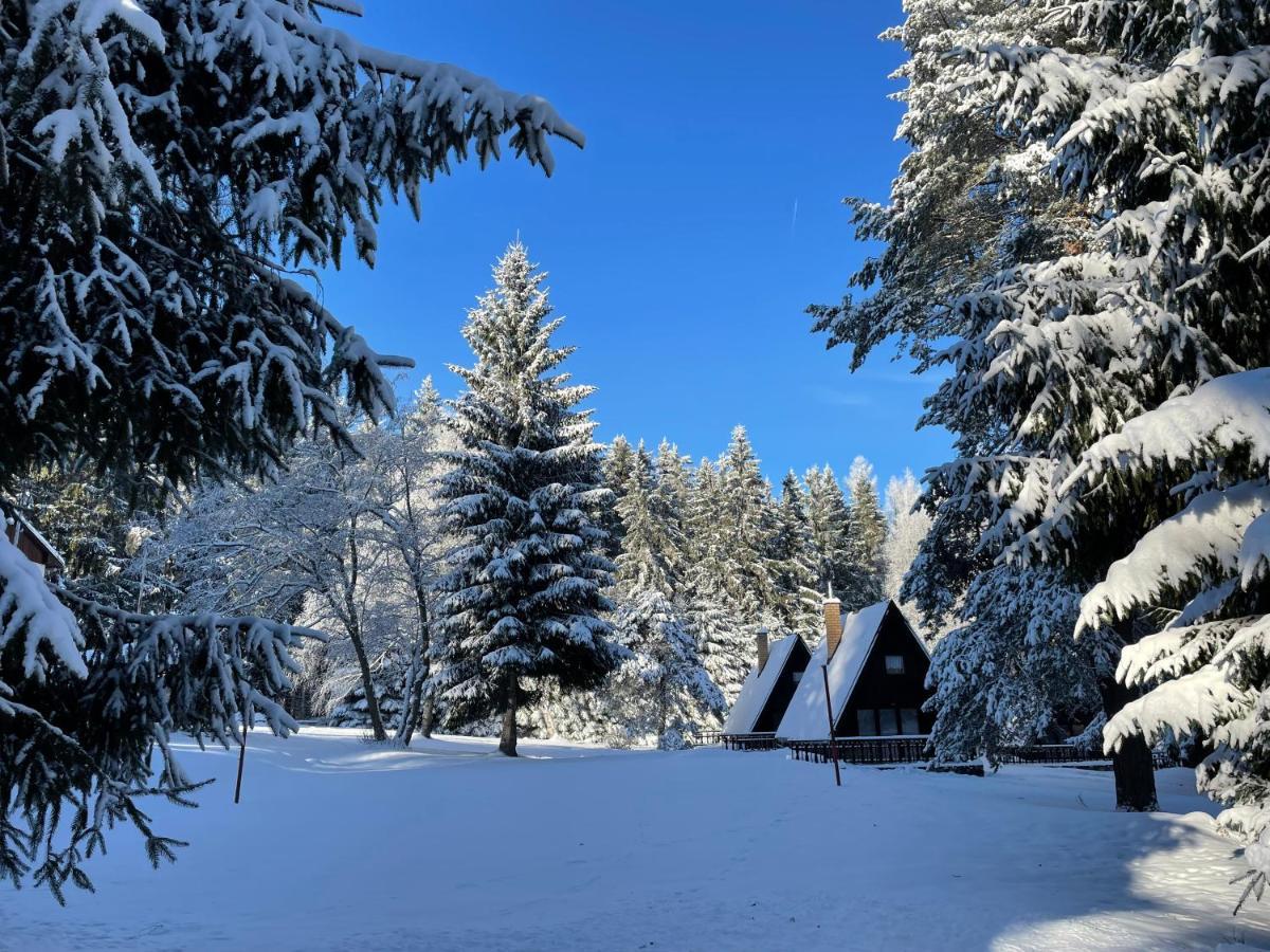 Hotel A Penzion Pegas Vlachovice Dış mekan fotoğraf