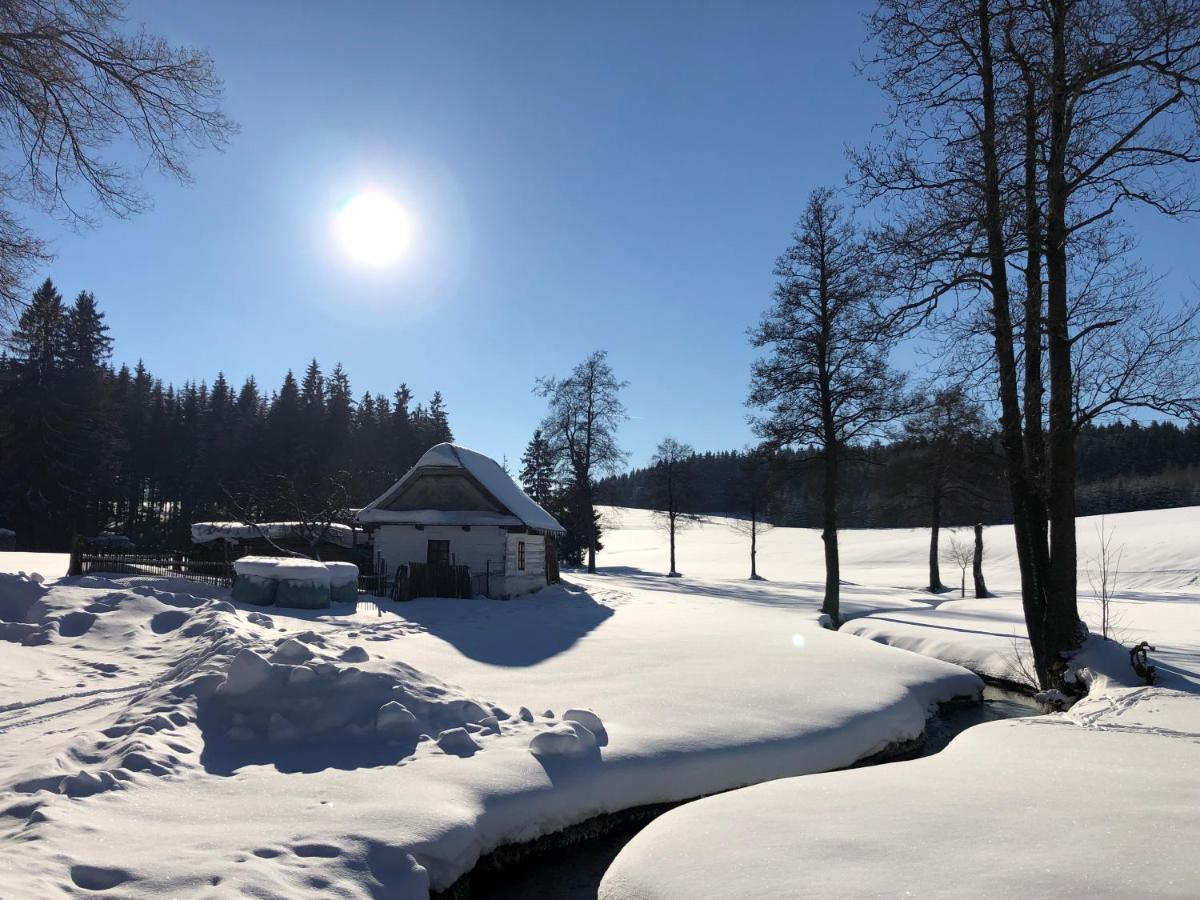 Hotel A Penzion Pegas Vlachovice Dış mekan fotoğraf