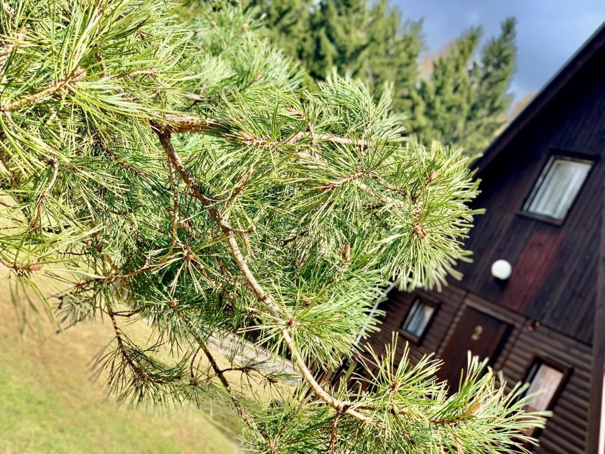Hotel A Penzion Pegas Vlachovice Dış mekan fotoğraf